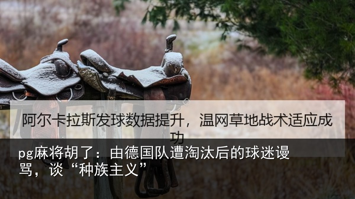 pg麻将胡了:由德国队遭淘汰后的球迷谩骂,谈“种族主义”