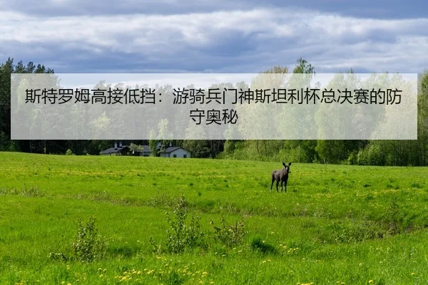 si-te-luo-mu-gao-jie-di-dang-you-qi-bing-men-shen-si-tan-li-bei-zong-jue-sai-de-fang-shou-ao-mi-2-801.jpg