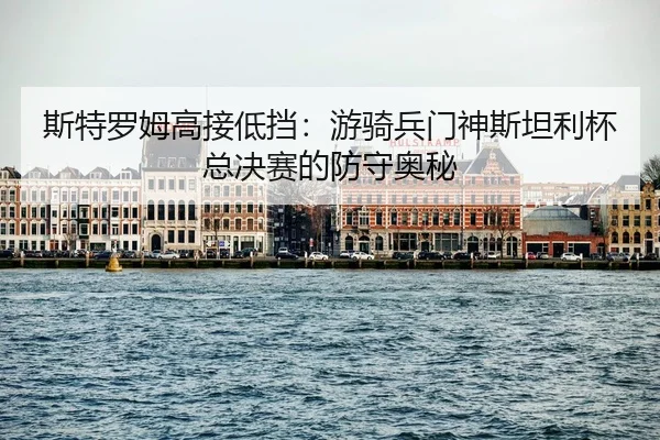 si-te-luo-mu-gao-jie-di-dang-you-qi-bing-men-shen-si-tan-li-bei-zong-jue-sai-de-fang-shou-ao-mi-1-158.jpg