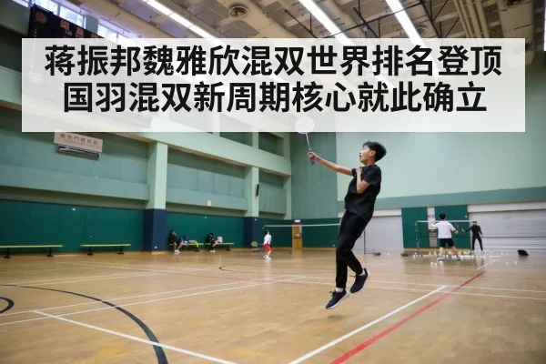badminton tournament court